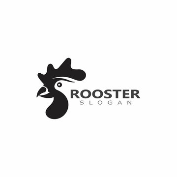 Vector Rooster head logo of animal design template