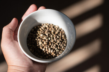 Hemp, Cannabis, Marijuana seeds in a bowl on wooden background. High protein seeds as plant-based food.