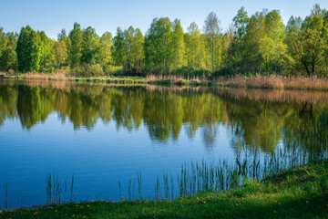 Fototapeta na wymiar A small forest lake in Belarus at spring time