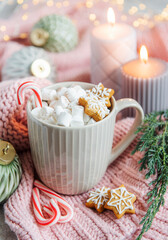Fototapeta na wymiar Christmas hot chocolate with marshmallow
