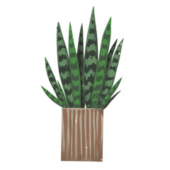 Three-striped Sansevieria , houseplant in a flower pot, hand-drawn illustration, isolated on a white background