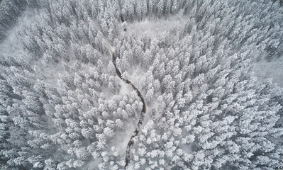 Natural winter landscape
