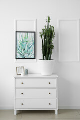 Fototapeta na wymiar Green cactus and frame on chest of drawers near white wall