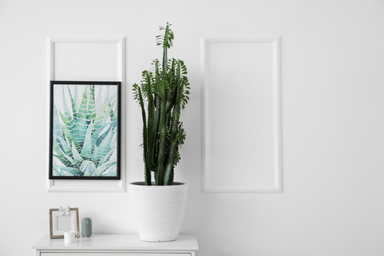 Green cactus and frame on shelf near light wall