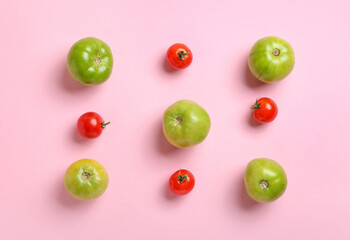 Naklejka na ściany i meble Different fresh green and red tomatoes on pink background
