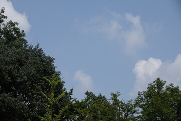 夏の青空