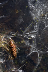 Ice cover of the river with fragments of vegetation close-up vertical orientation