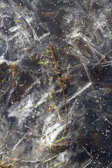 Patterned white icy surface of the river with patches of vegetation and lines and grains of ice