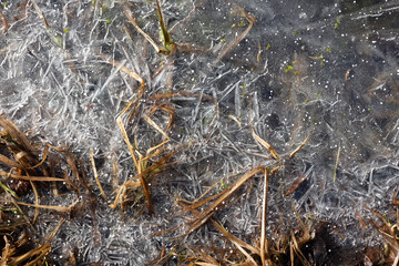 An icy riverbank with yellow grass and a beautiful white pattern of ice on a frosty morning closeup