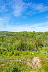 View of a clearcut area and forest