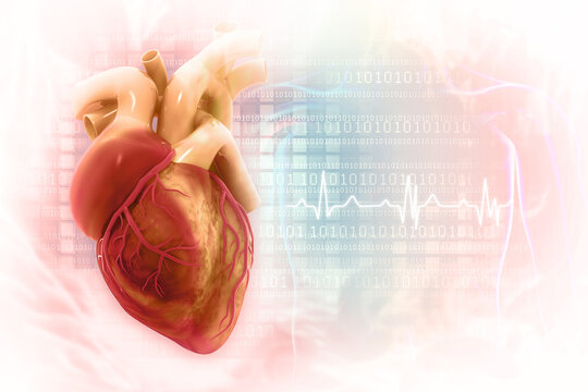 Human heart on science background.3d illustration
