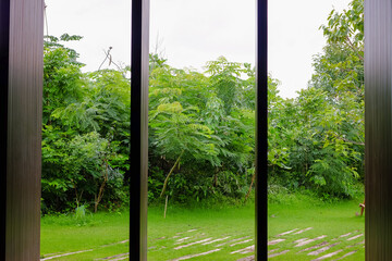 open the door view nature