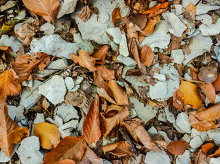 Close-up autumn texture: orange dry fallen leaves and gray stones.
