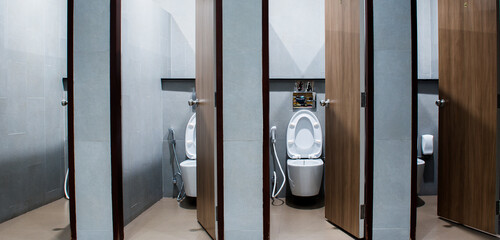 Modern public toilet with ceramic white toilet bowl with grey wall
