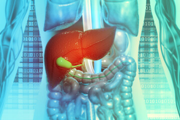Human digestive system on scientific background
