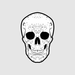 Skull Head Vector Design Inspiration