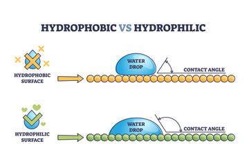 Hydrophobic vs hydrophilic surface drop effect outline diagram. Labeled educational physical explanation with liquid contact angle and its tension force vector illustration. Water resistant material. - obrazy, fototapety, plakaty