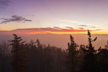 Autumn czech landscape with misty fog and trees silhouette before morning sunrise. View from watchtower in village Hradiste