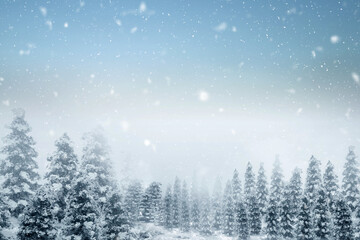 Snowy fir trees