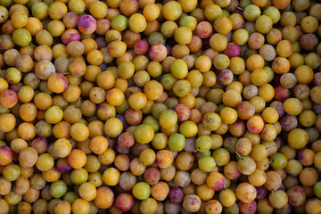 top view of organic mirabelle plums