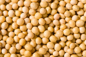 Soybean seeds grain texture background.