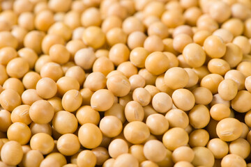 Soybean seeds grain texture background.