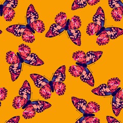 Hand Drawn Realistic Elegant Butterflies Seamless Patern Vintage Minimal Concept Design Trendy Fashion Colors Perfect for Allover Fabric Print