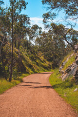 A Distant Road