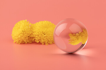 Yellow flowers reflecte in the glass ball on pink backrgound.