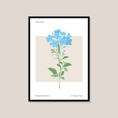 Botanical illustration wall print poster 