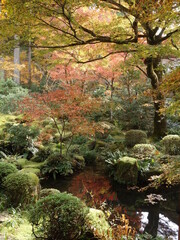 紅葉の映える日本庭園