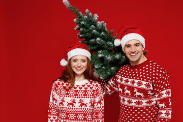 Young smiling fun happy couple friends two man woman 20s in sweater hat hold carrying fir-tree isolated on plain red background studio. Happy New Year 2022 celebration merry ho x-mas holiday concept