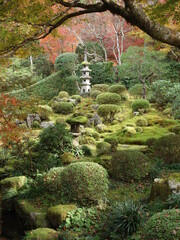 紅葉の映える日本庭園