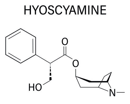Hyoscyamine alkaloid molecule. Herbal sources include henbane, mandrake, jimsonweed, deadly nightshade and tomato. Skeletal formula.