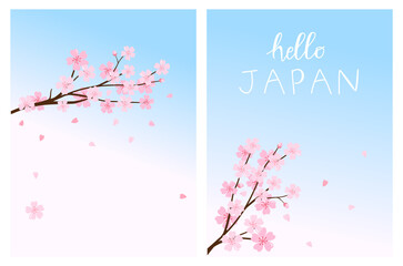 Cherry blossom Sakura flower on blue sky background vector.