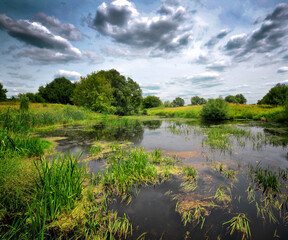 landscape with river