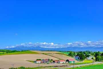Fototapeta na wymiar 北海道　 秋の美瑛　青空と穀倉地帯