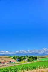 北海道　 秋の美瑛　青空と穀倉地帯


