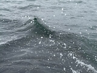 Waves and splashes of sea water