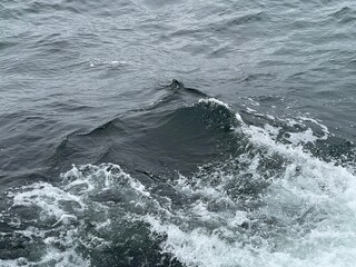 Fototapeta premium Waves in the ocean, copy space