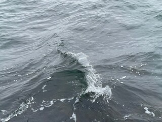 Fototapeta premium Small wave on sea water