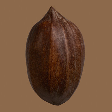 Close up whole pecan in brown shell
