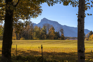 Hellbrunner Allee im Herbst
