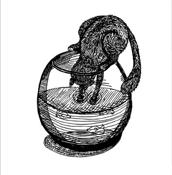 Drawing, graphics, sketch, situation, cat, aquarium, pet catches fish