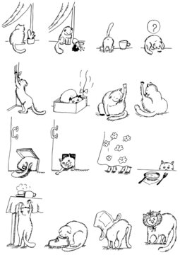 Drawing, graphics, cats, situations, funny pets, cat actions