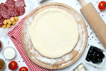 Concept of cooking pizza on white background
