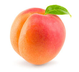 apricot fruit with green leaf isolated on white background. clipping path