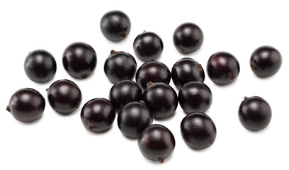 black currant isolated on white background. macro. clipping path. top view