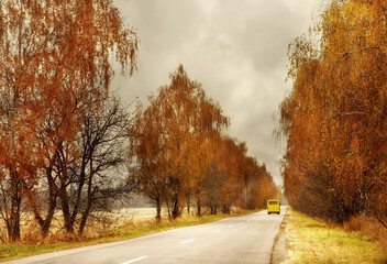 Autumn road among yellow trees and a yellow bus.
