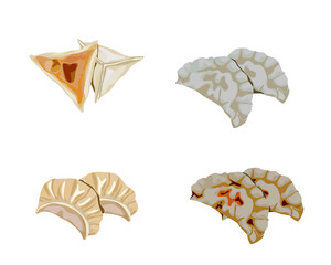 Isolated different type of steamed dumpling and fried dumplings on white background. Chinese food , dim sum vector illustration. Close up dim sum menu.